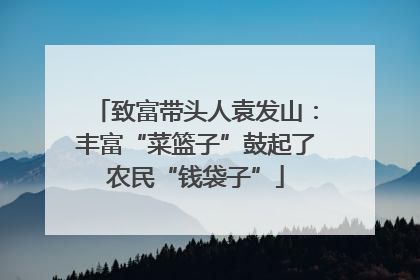 致富带头人袁发山：丰富“菜篮子”鼓起了农民“钱袋子”