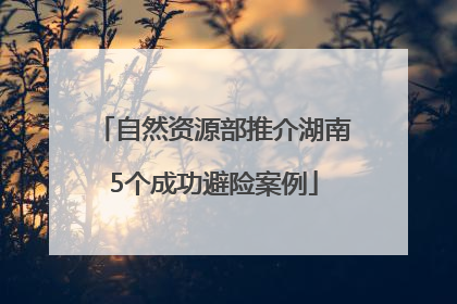自然资源部推介湖南5个成功避险案例