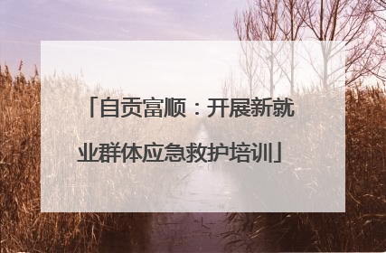自贡富顺：开展新就业群体应急救护培训