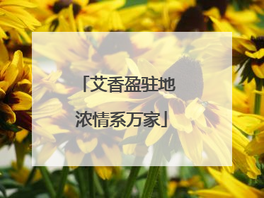艾香盈驻地 浓情系万家