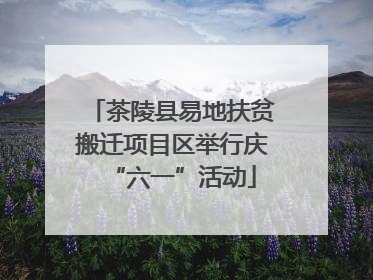 茶陵县易地扶贫搬迁项目区举行庆“六一”活动