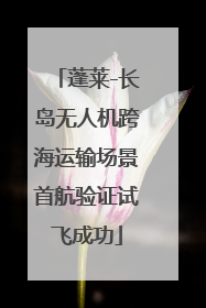 蓬莱-长岛无人机跨海运输场景首航验证试飞成功