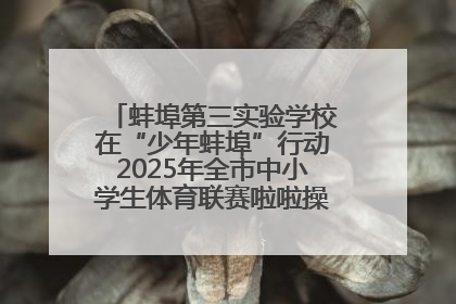 蚌埠第三实验学校在“少年蚌埠”行动2025年全市中小学生体育联赛啦啦操比赛中获佳绩