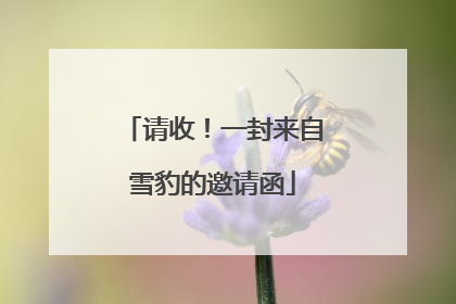 请收！一封来自雪豹的邀请函
