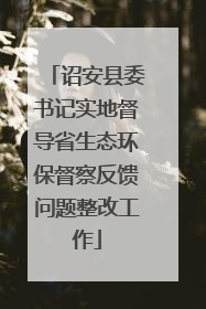 诏安县委书记实地督导省生态环保督察反馈问题整改工作