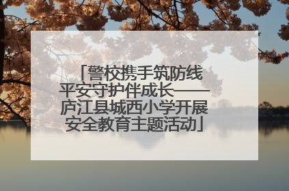 警校携手筑防线 平安守护伴成长——庐江县城西小学开展安全教育主题活动