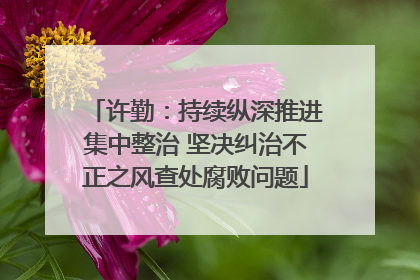 许勤：持续纵深推进集中整治 坚决纠治不正之风查处腐败问题