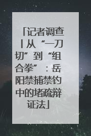 记者调查丨从“一刀切”到“组合拳”：岳阳禁捕禁钓中的堵疏辩证法