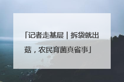 记者走基层｜拆袋就出菇，农民育菌真省事
