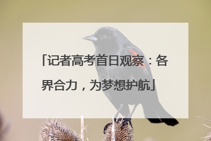 记者高考首日观察：各界合力，为梦想护航