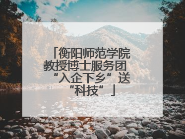 衡阳师范学院教授博士服务团“入企下乡”送“科技”