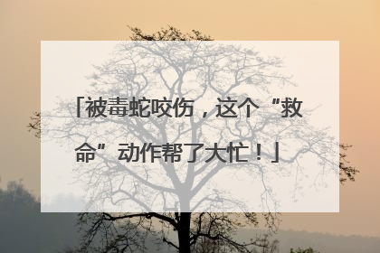 被毒蛇咬伤，这个“救命”动作帮了大忙！