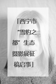 西宁市“雪豹之都”生态摄影展征稿启事