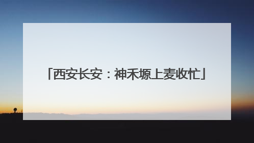 西安长安：神禾塬上麦收忙