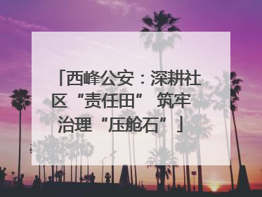 西峰公安：深耕社区“责任田” 筑牢治理“压舱石”