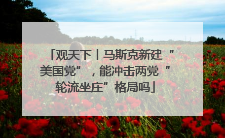 观天下丨马斯克新建“美国党”，能冲击两党“轮流坐庄”格局吗