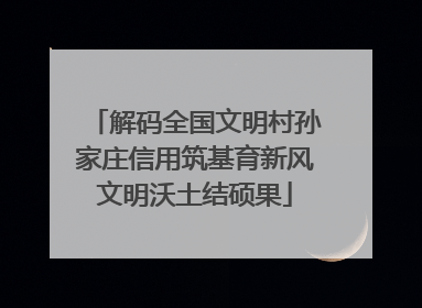 解码全国文明村孙家庄信用筑基育新风文明沃土结硕果