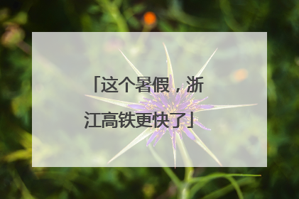 这个暑假，浙江高铁更快了