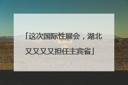 这次国际性展会，湖北又又又又担任主宾省