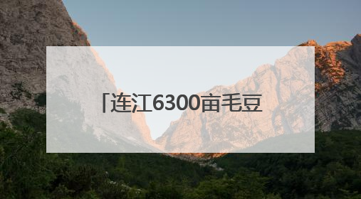 连江6300亩毛豆上市 部分出口海外