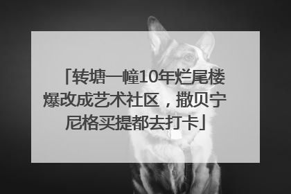转塘一幢10年烂尾楼爆改成艺术社区，撒贝宁尼格买提都去打卡