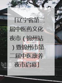 辽宁省第二届中医药文化夜市（锦州站）暨锦州市第二届中医康养夜市启幕