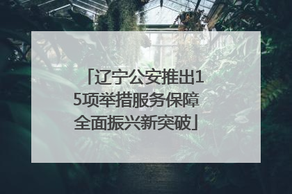 辽宁公安推出15项举措服务保障全面振兴新突破
