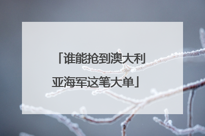 谁能抢到澳大利亚海军这笔大单