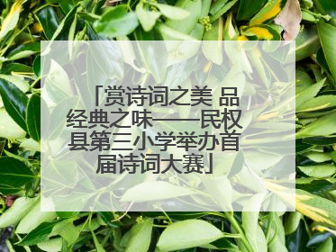 赏诗词之美 品经典之味——民权县第三小学举办首届诗词大赛