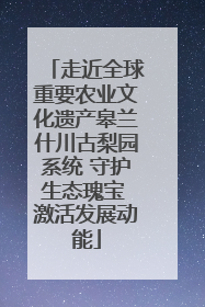 走近全球重要农业文化遗产皋兰什川古梨园系统 守护生态瑰宝 激活发展动能
