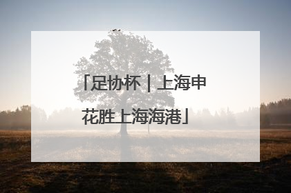 足协杯｜上海申花胜上海海港