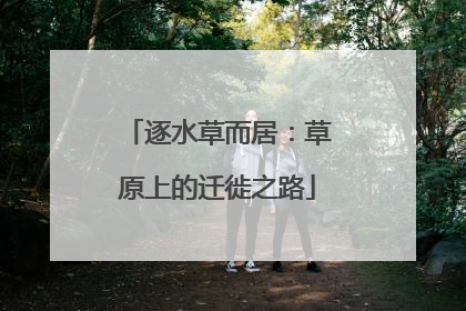 逐水草而居：草原上的迁徙之路