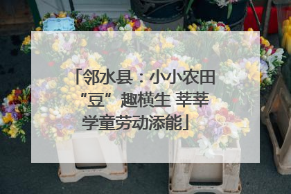 邻水县：小小农田“豆”趣横生 莘莘学童劳动添能