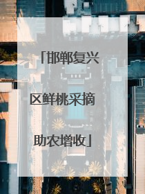 邯郸复兴区鲜桃采摘助农增收