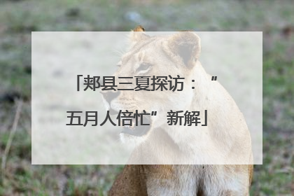 郏县三夏探访：“五月人倍忙”新解