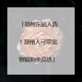 郑州东站入选！郑州人可带宠物猫狗坐高铁