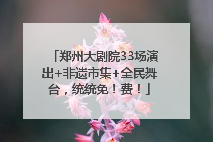 郑州大剧院33场演出+非遗市集+全民舞台，统统免！费！
