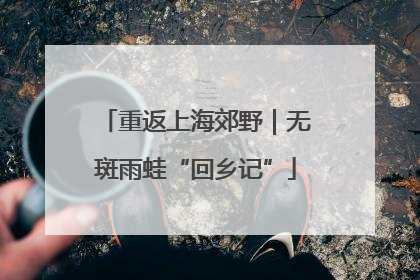 重返上海郊野｜无斑雨蛙“回乡记”