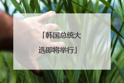 韩国总统大选即将举行