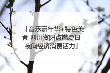 音乐嘉年华+特色美食 四川资阳点燃夏日夜间经济消费活力