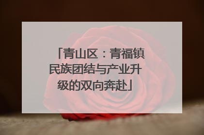 青山区：青福镇民族团结与产业升级的双向奔赴