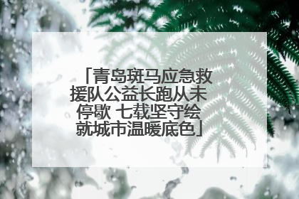 青岛斑马应急救援队公益长跑从未停歇 七载坚守绘就城市温暖底色
