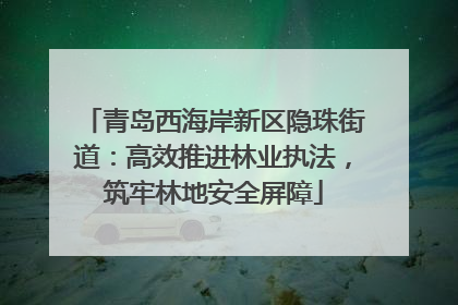 青岛西海岸新区隐珠街道：高效推进林业执法，筑牢林地安全屏障