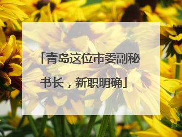 青岛这位市委副秘书长，新职明确