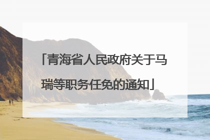 青海省人民政府关于马瑞等职务任免的通知