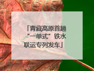 青藏高原首趟“一单式”铁水联运专列发车