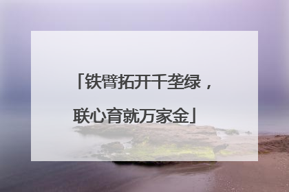 铁臂拓开千垄绿，联心育就万家金