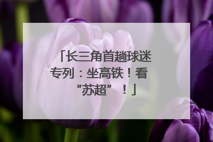 长三角首趟球迷专列：坐高铁！看“苏超”！