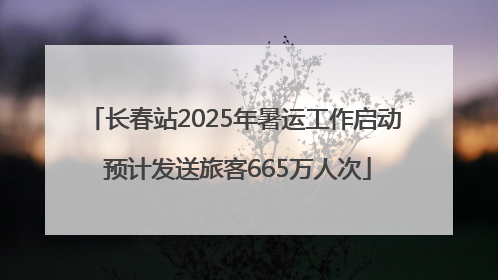 长春站2025年暑运工作启动 预计发送旅客665万人次