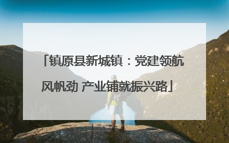 镇原县新城镇：党建领航风帆劲 产业铺就振兴路